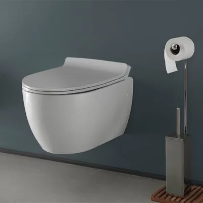 Modern Wall Mount Toilet, Ceramic, Rounded