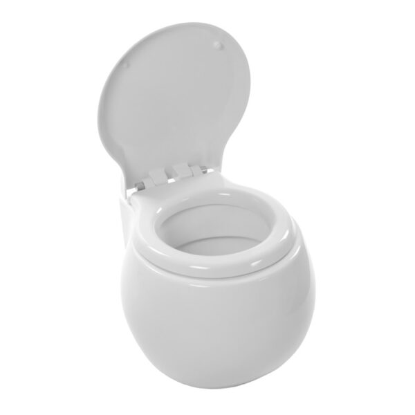 Modern Wall Mount Toilet, Ceramic, Rounded