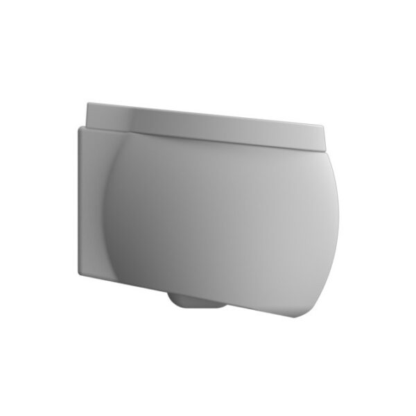 Modern Wall Mount Toilet, Ceramic, Rounded